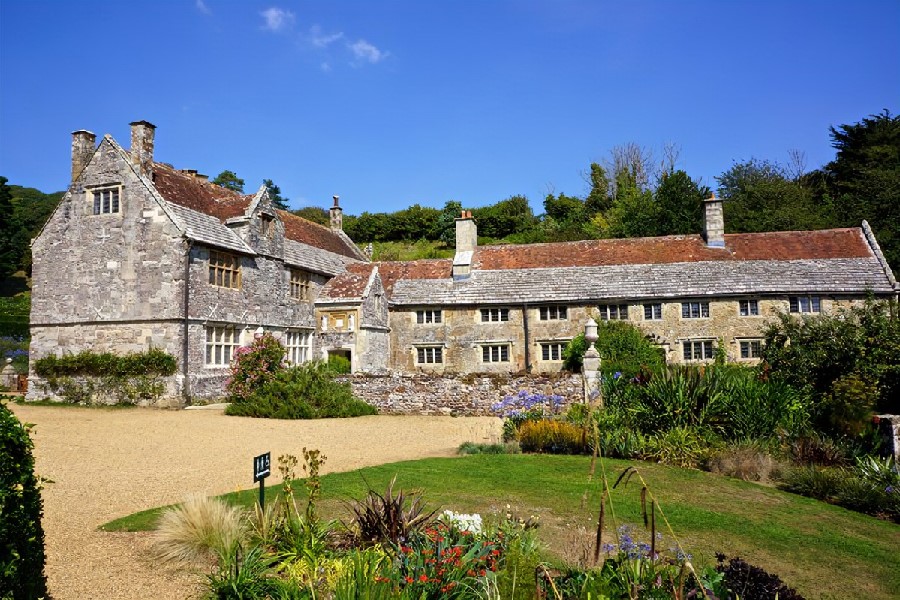 Mottistone Gardens